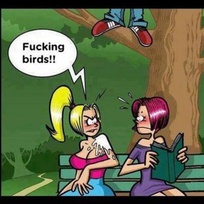 fucking-birds