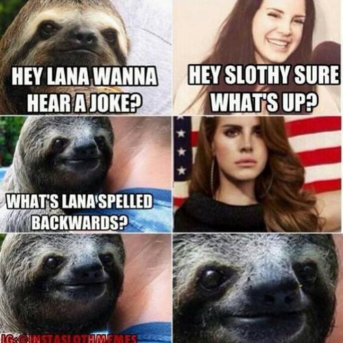 lana-sloth
