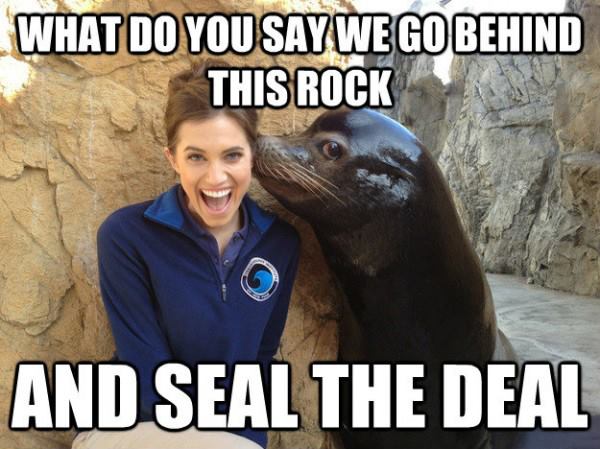 seal-the-deal