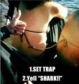 shark-trap
