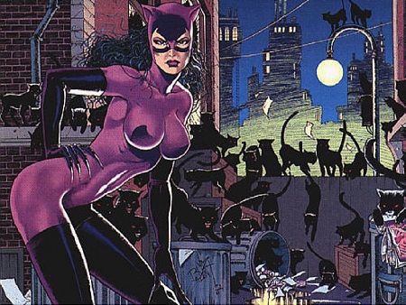 Catwoman-dc-comics-14289076-500-374